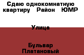 Сдаю однокомнатную квартиру › Район ­ ЮМР › Улица ­ Бульвар Платановый › Дом ­ 10 › Этажность дома ­ 12 › Цена ­ 15 000 - Краснодарский край, Краснодар г. Недвижимость » Квартиры аренда   